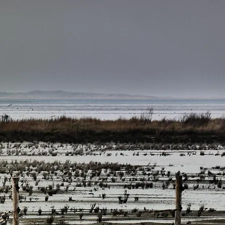 Ferienwohnung-seeblick-heimathafen-an-der-nordseekueste Neuharlingersiel