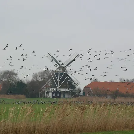Appartement Ferienwohnung-seeblick-heimathafen-an-der-nordseekueste